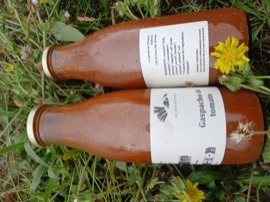 Gaspacho de tomate été 2025